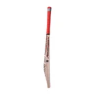ca-cricket-hardball-bat-gold-15000-player-edition-3