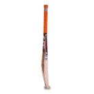 ca-cricket-hardball-bat-plus-10000-edition-2