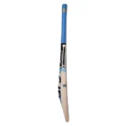 ca-cricket-hardball-bat-pro-7000-2